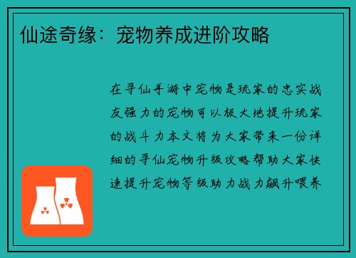 仙途奇缘：宠物养成进阶攻略